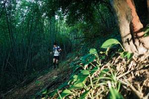 BIB: 
                            <button type="button" onclick="openModal(28124037)" class="btn btn-primary btn-sm float-right btn-popup" data-toggle="modal" data-target=".modal-high-quality">
                        <i class="fas fa-shopping-cart"></i> Add to Cart
                    </button>
                                            <button type="button" onclick="isThisMe(28124037, true)" class="btn btn-success btn-sm float-right btn-popup btn-isme hidden" data-toggle="tooltip" data-placement="bottom" title="นี่คือรูปของคุณใช่ไหม คลิกที่นี่เพื่อเอาเข้าอัลบั้ม">
                        <i class="fas fa-plus"></i> Add to album
                    </button>
                    <button type="button" onclick="isThisMe(28124037, false)" class="btn btn-warning btn-sm float-right btn-popup btn-isnotme hidden">
                        <i class="fas fa-ban"></i> Remove from album
                    </button>